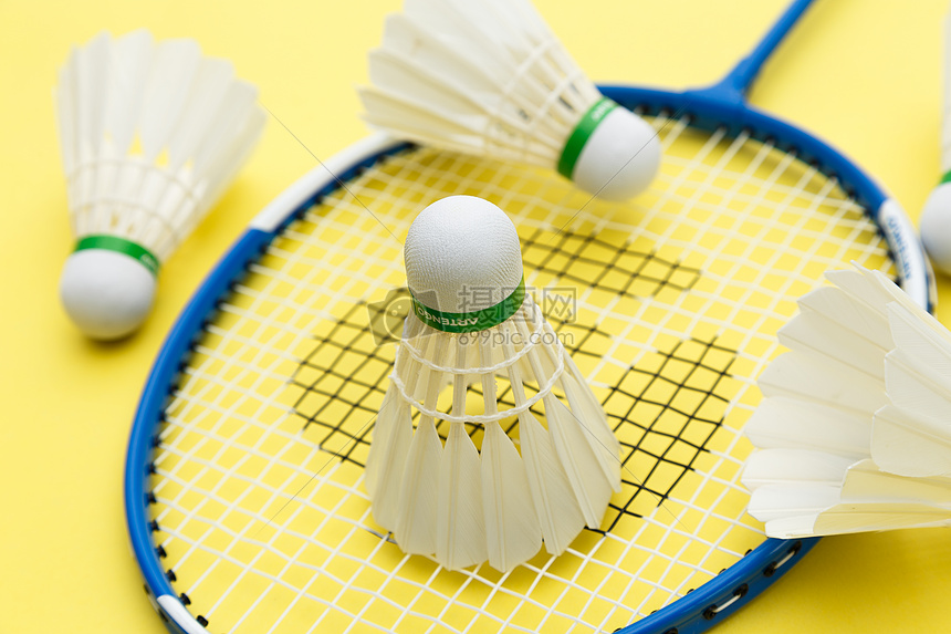 沙尔克04 沙尔克04